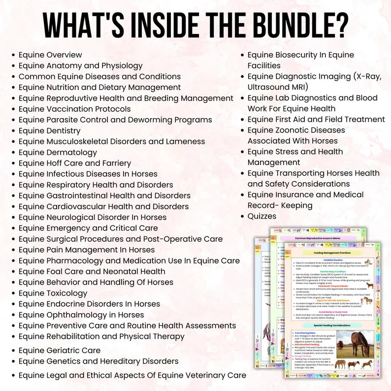 Equine Veterinary Notes Bundle Hyperlinked, Equine Medicine Notes, UPDATED 2026-27, Equine Vet Study Material, Horse Anatomy Study, Vet Tech