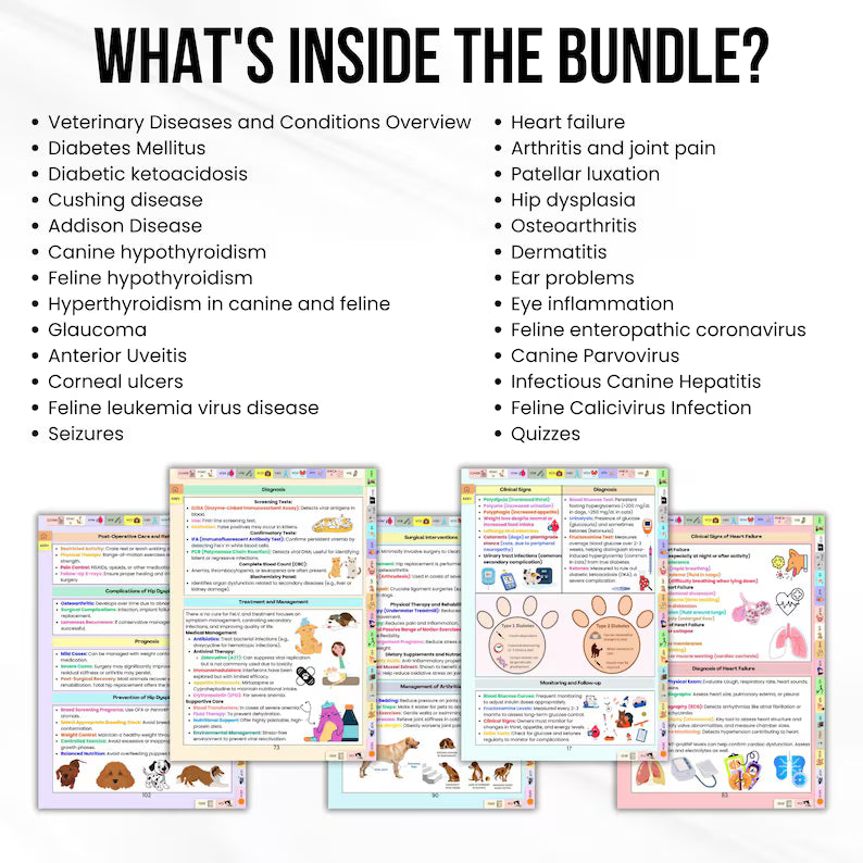 Veterinary Diseases and Conditions Bundle, Updated 2026-27, Animal Disease Study Guide, Veterinary Study, Veterinary Nurse, Vet Medical