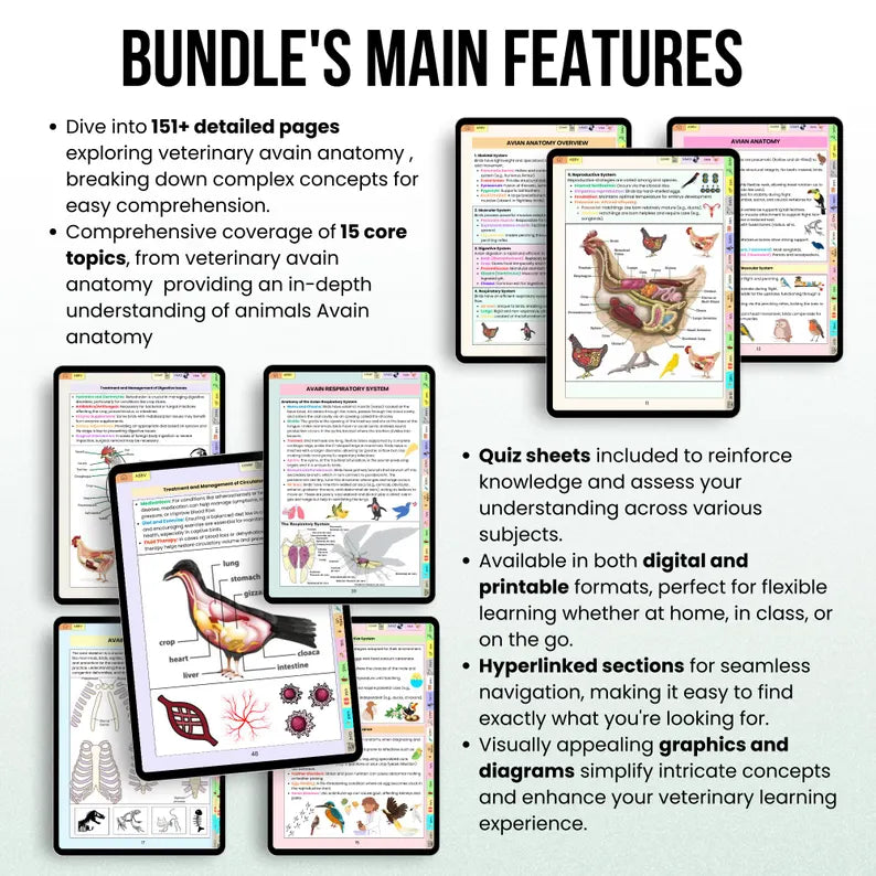 150+ Veterinary Avian Anatomy Bundle Hyperlinked, Veterinary Nurse Study Guide, Bonus Stickers Cover & Quizzes, Veterinary Medical Student