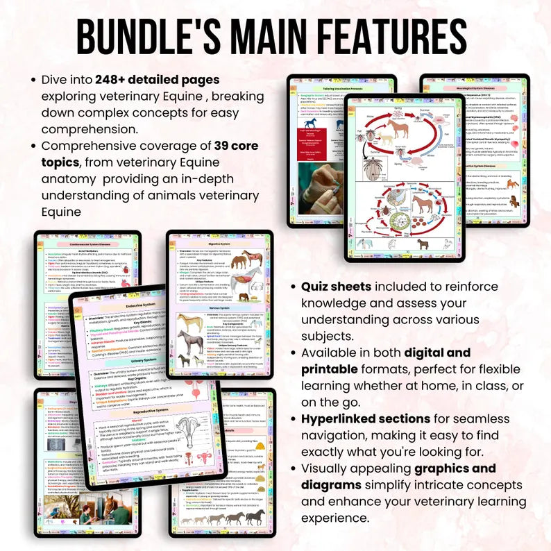 Equine Veterinary Notes Bundle Hyperlinked, Equine Medicine Notes, UPDATED 2026-27, Equine Vet Study Material, Horse Anatomy Study, Vet Tech