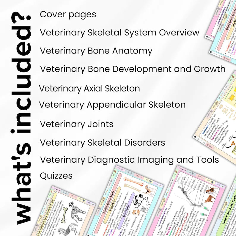 Veterinary Skeletal System Flashcard, 8+ Topics, 5 Bonus Cover Pages, Fully Hyperlinked, Animal Skeleton Card, Vet Skeletal System Study