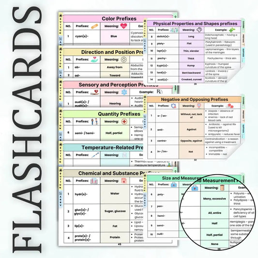 Medical Terminology Flashcards 118+ Cards, 5 Bonus Cover Pages, Bonus Terminology Sheets, Healthcare Flashcards, Healthcare Terminology