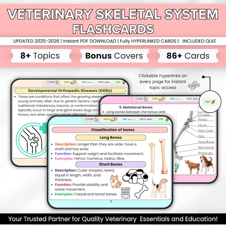 Veterinary Skeletal System Flashcard, 8+ Topics, 5 Bonus Cover Pages, Fully Hyperlinked, Animal Skeleton Card, Vet Skeletal System Study