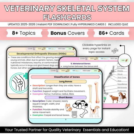 Veterinary Skeletal System Flashcard – 8+ Topics (Hyperlinked PDF)