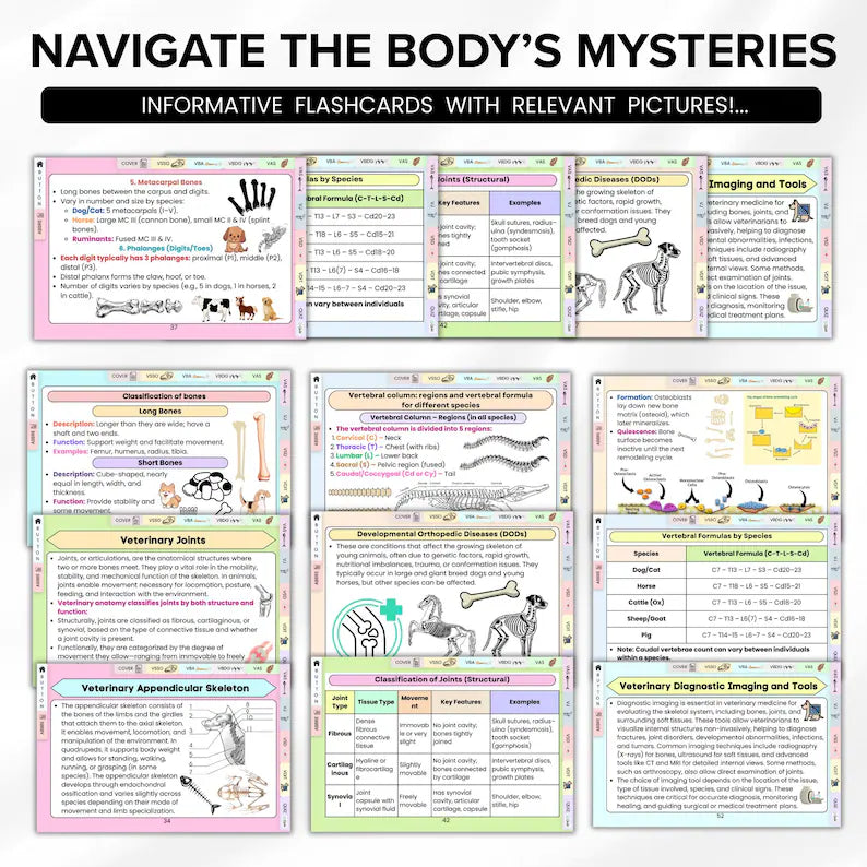 Veterinary Skeletal System Flashcard, 8+ Topics, 5 Bonus Cover Pages, Fully Hyperlinked, Animal Skeleton Card, Vet Skeletal System Study