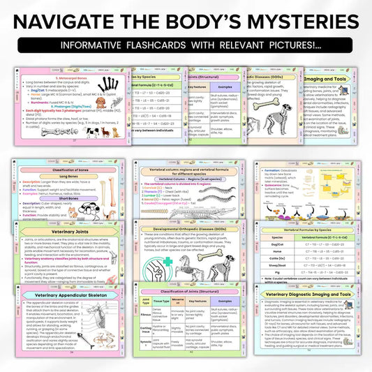 Veterinary Skeletal System Flashcard, 8+ Topics, 5 Bonus Cover Pages, Fully Hyperlinked, Animal Skeleton Card, Vet Skeletal System Study
