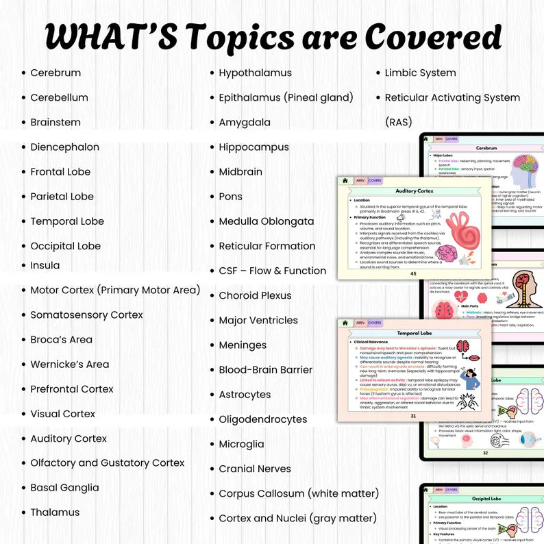 Diabete Flashcard Bundle with Quiz | Nursing Study Notes | Medication Guide | Insulin Guide | Hyperlinked Pages | 21Topics