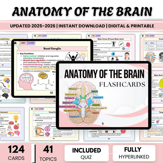 Anatomy Brain Flashcards Hyperlinked Bundle (Hyperlinked PDF)