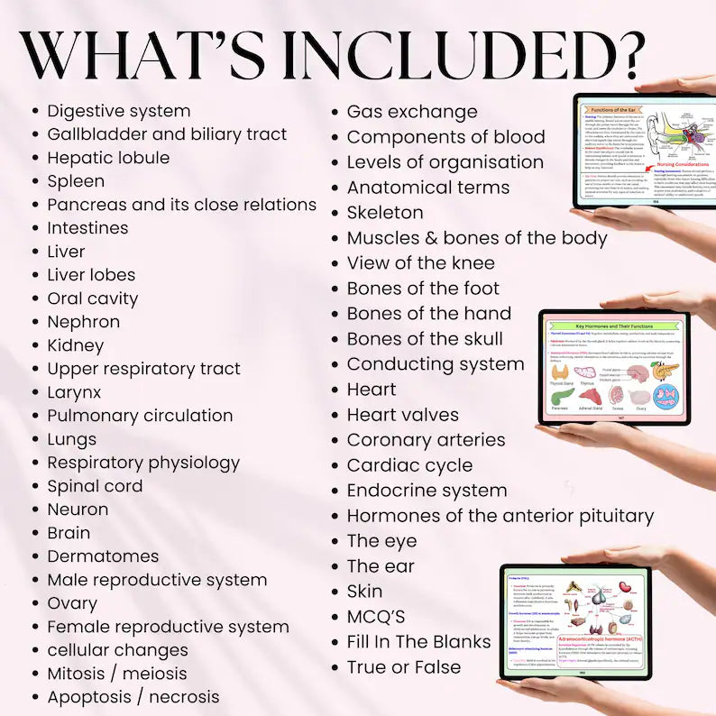 Anatomy & Physiology Flashcards 49 Topics or 235+Pages with Free Cover Pages and Stickers, Nursing School Notes, Anatomy Medical Study Guide