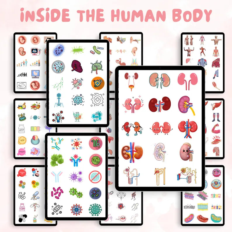 Anatomy Clipart Bundle | Medical & Nursing Education | 2000+ Human Anatomy Illustrations | Digital Download