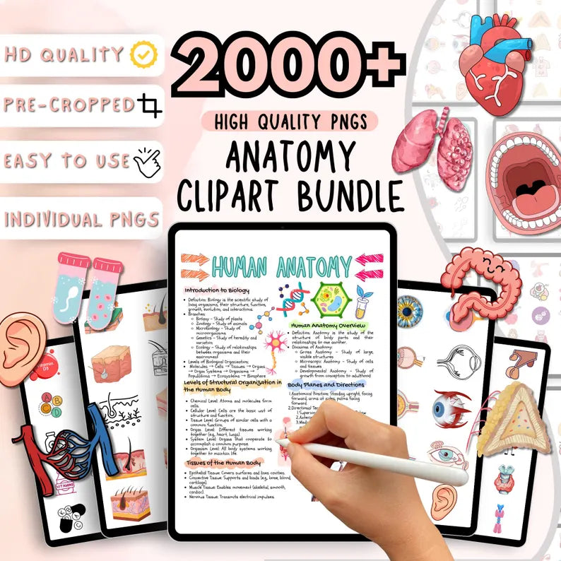 Anatomy Clipart Bundle | Medical & Nursing Education | 2000+ Human Anatomy Illustrations | Digital Download