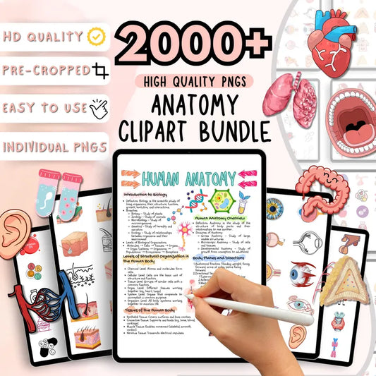 Anatomy Clipart Bundle – 2000+ Illustrations for Nursing