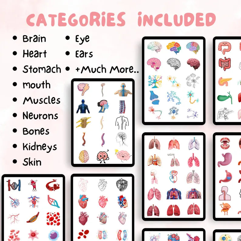 Anatomy Clipart Bundle | Medical & Nursing Education | 2000+ Human Anatomy Illustrations | Digital Download