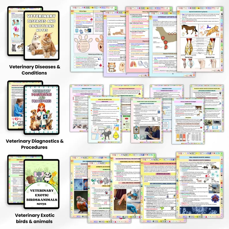 Veterinary Study Guide | Veterinary Mega Bundle | Vet Student Resources | Bonus Items Included | Digital Download