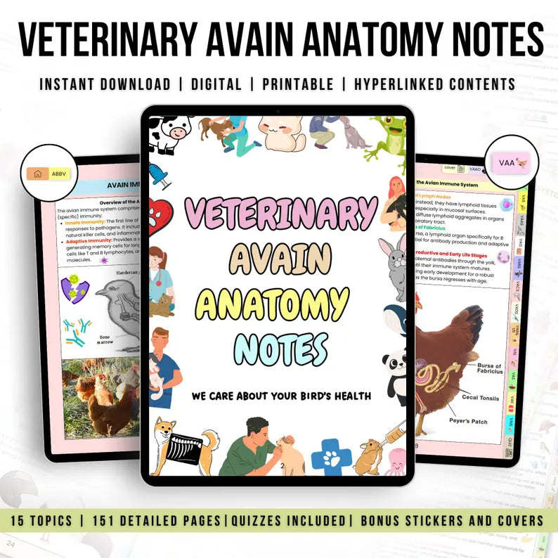 150+ Veterinary Avian Anatomy Bundle Hyperlinked, Veterinary Nurse Study Guide, Bonus Stickers Cover & Quizzes, Veterinary Medical Student