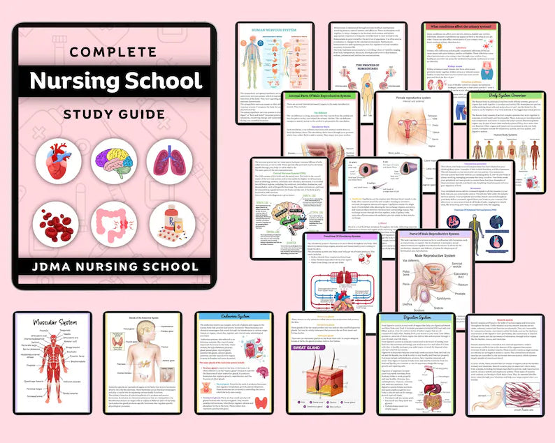 Comprehensive Nursing School Bundle with Hyperlinked | Study Guide Bundle | Nursing School Note | Digital Download | 850+Pages of Study note