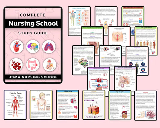 Comprehensive Nursing School Bundle with Hyperlinked | Study Guide Bundle | Nursing School Note | Digital Download | 850+Pages of Study note