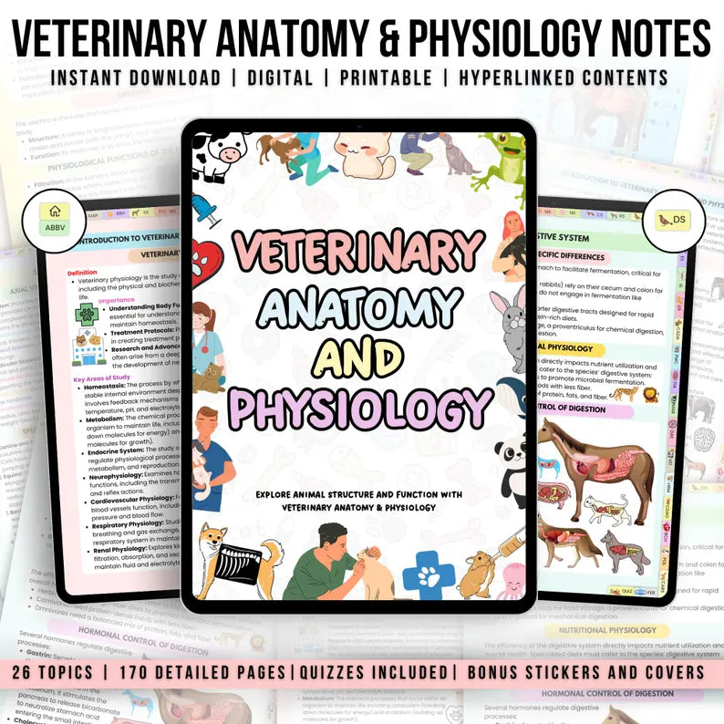 168+ Veterinary Anatomy & Physiology Bundle with Hyperlinked, Anatomy Study Guide, Vet Nursing, Medical Notes, Veterinary Technician Study