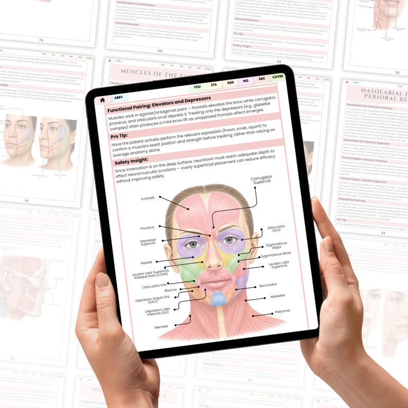Advance Injector's Facial Anatomy Guide Bundle page preview
