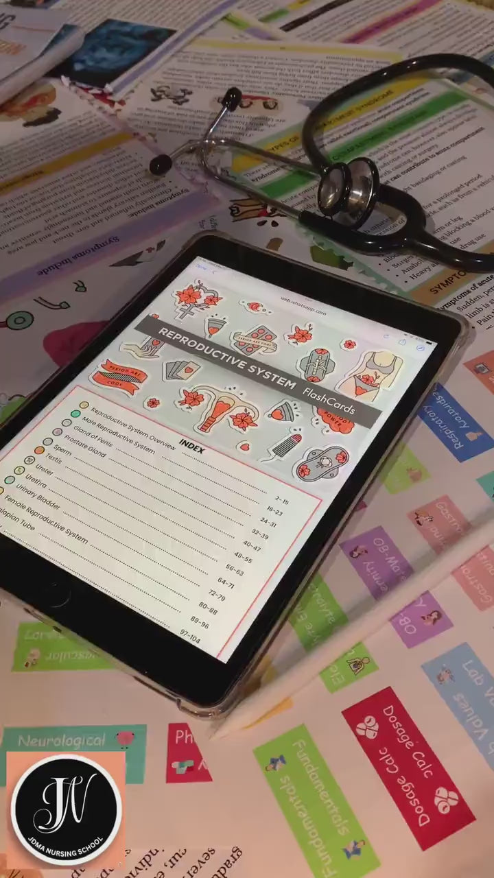Reproductive System Flashcards Fully Hyperlinked | Human Anatomy | Free Cover Pages | Female Reproductive | Instant Download | Nursing Notes