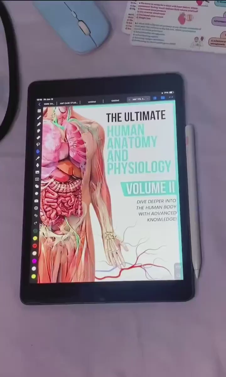 Anatomy & Physiology Volume 2 Hyperlink Bundle with Flashcards and Sticker Quizzes, Anatomy Study Guide, Nursing School Notes, Medical Notes