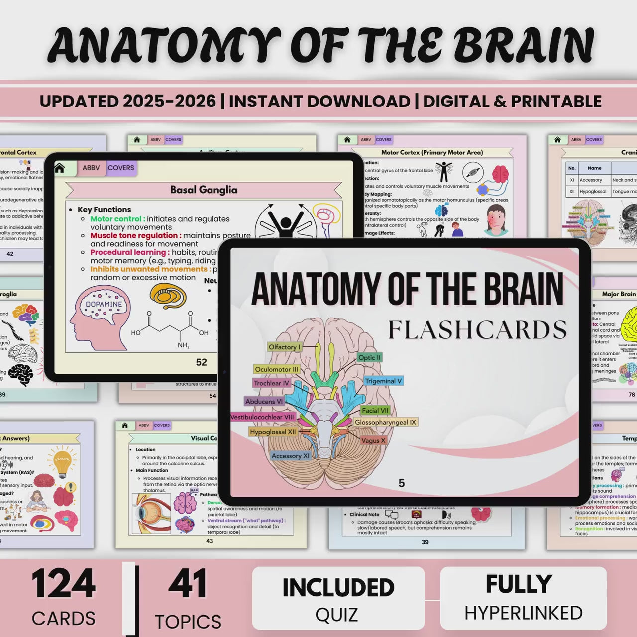 Anatomy Brain Flashcards Hyperlinked Bundle, Anatomy and Physiology Cards, Neuroscience Study Aid, Nursing School, Nervous System Cards