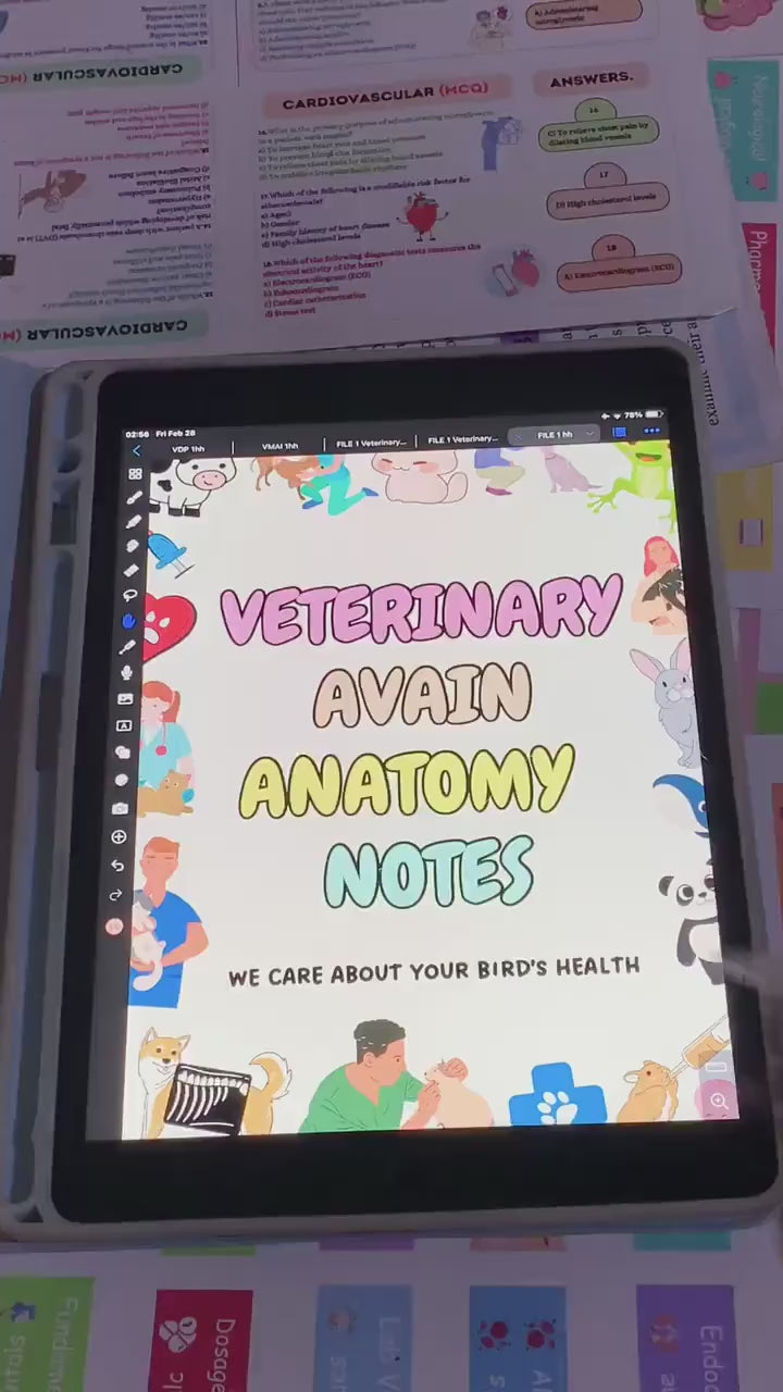 150+ Veterinary Avian Anatomy Bundle Hyperlinked, Veterinary Nurse Study Guide, Bonus Stickers Cover & Quizzes, Veterinary Medical Student