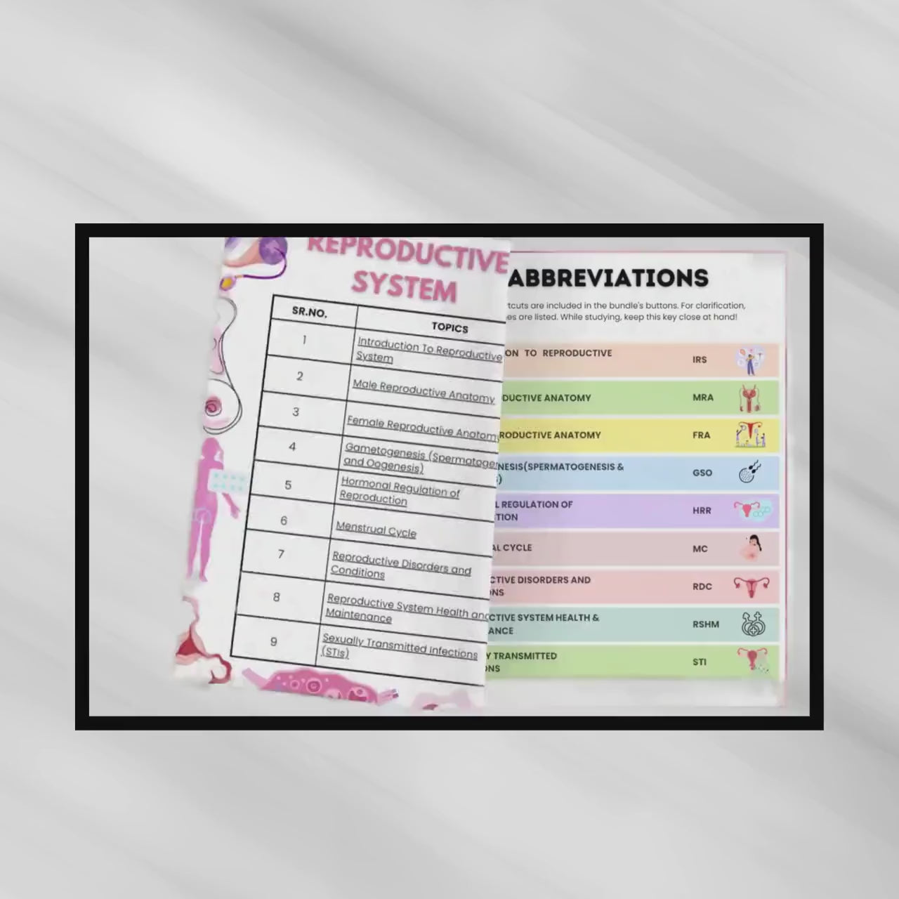 Reproductive System Notes Fully Hyperlinked 30+ Sheets | Study Guide | Female or Male Reproductive | Quiz Sheets