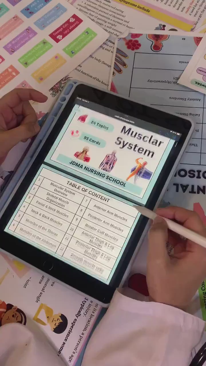 Muscular System Flashcard Fully Hyperlinked | Nursing Bundle | Medical Note | Muscle Anatomy Note | Study Note | Digital Download | 24 Topic