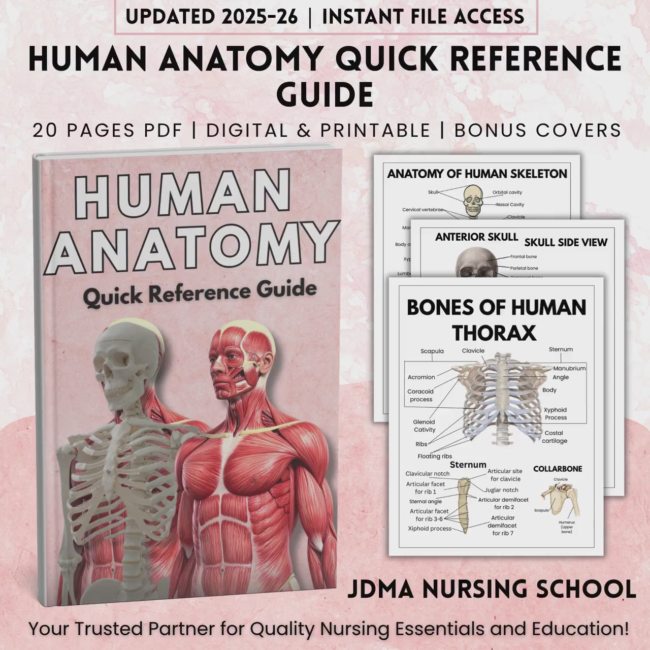 Anatomy human, Human Anatomy Guide for Nursing Students, Included Bonus Covers, Human Body Systems, Digital & Printable
