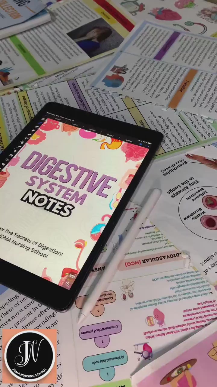 Digestive System Bundle with Flashcards, SVG’s, Quiz or Sticker | Human Body Study | Nursing Study Guide | Nursing School | Medical Sticker