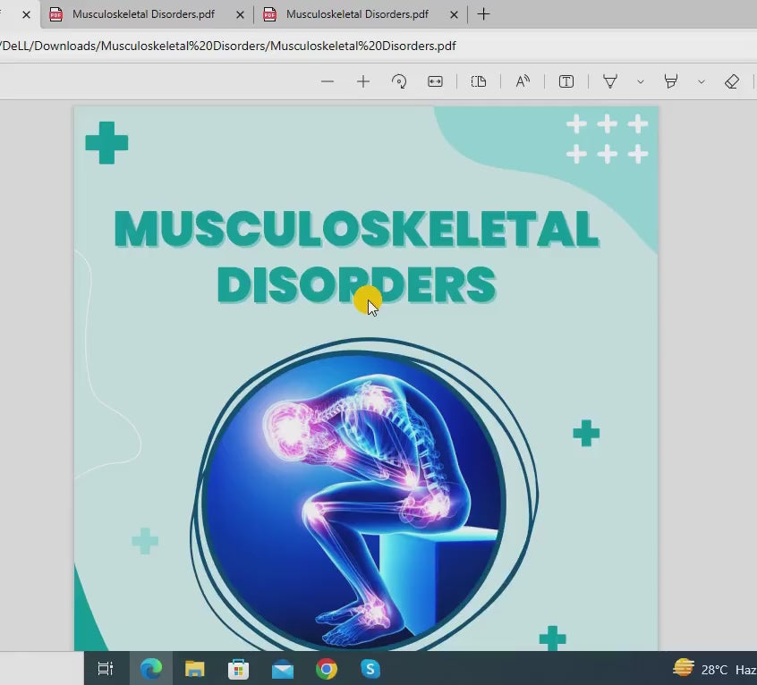 Muscular System 27 Pages | Medical Notes | Nursing Bundle | Muscle Anatomy Notes | Study Notes | Anatomy Study Guide | Digital Download