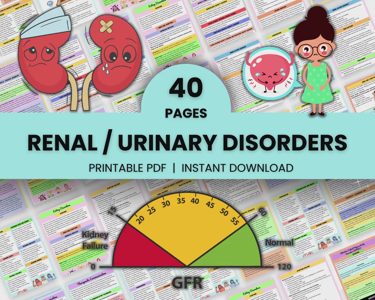 Urinary Disorder | Renal System Study Guide | Nursing Notes | Digital Download | Med Surg | PDF