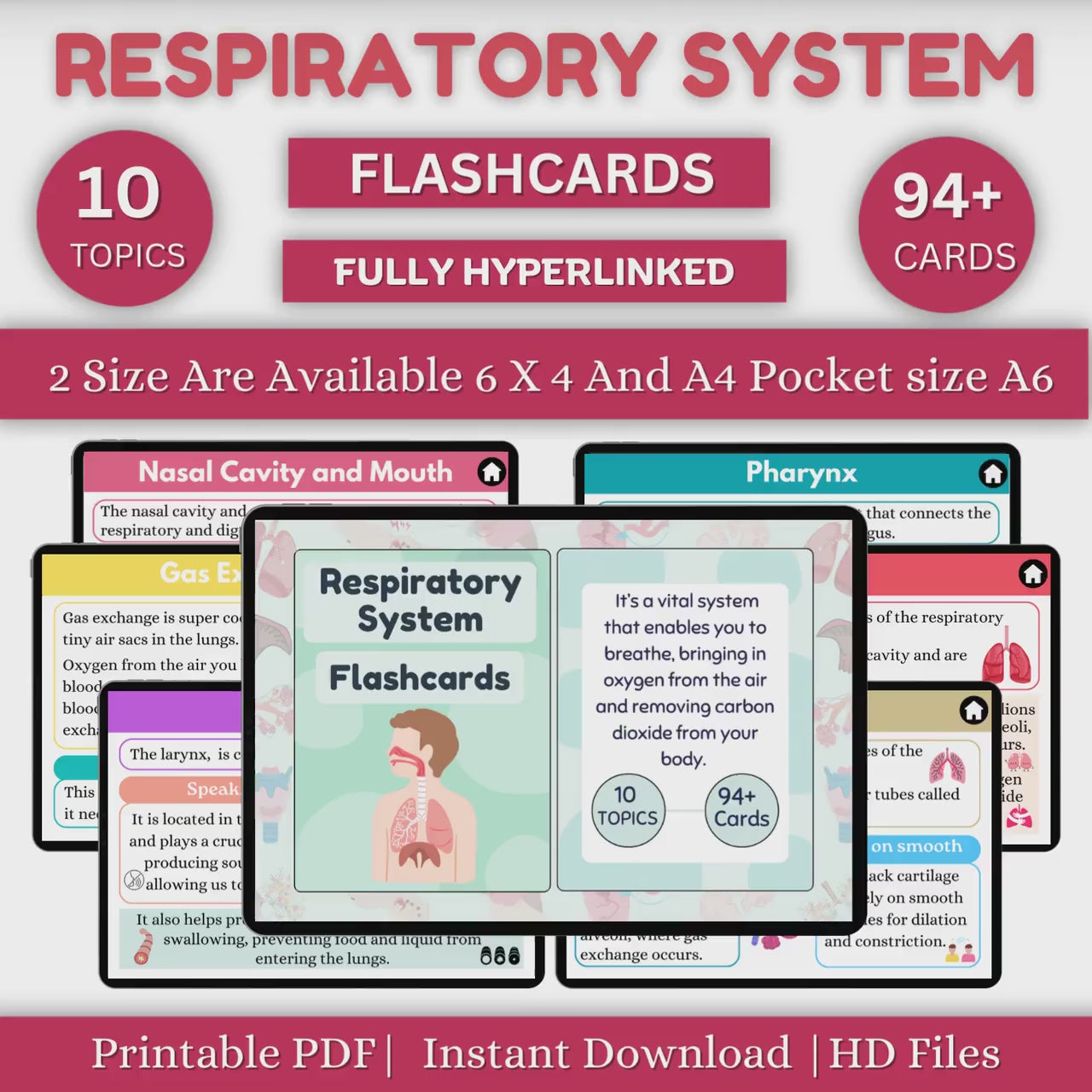 Respiratory System Flashcards | Med Surg Nursing Study | Study Notes | Intant Download | PDF File | Nursing Study Guide