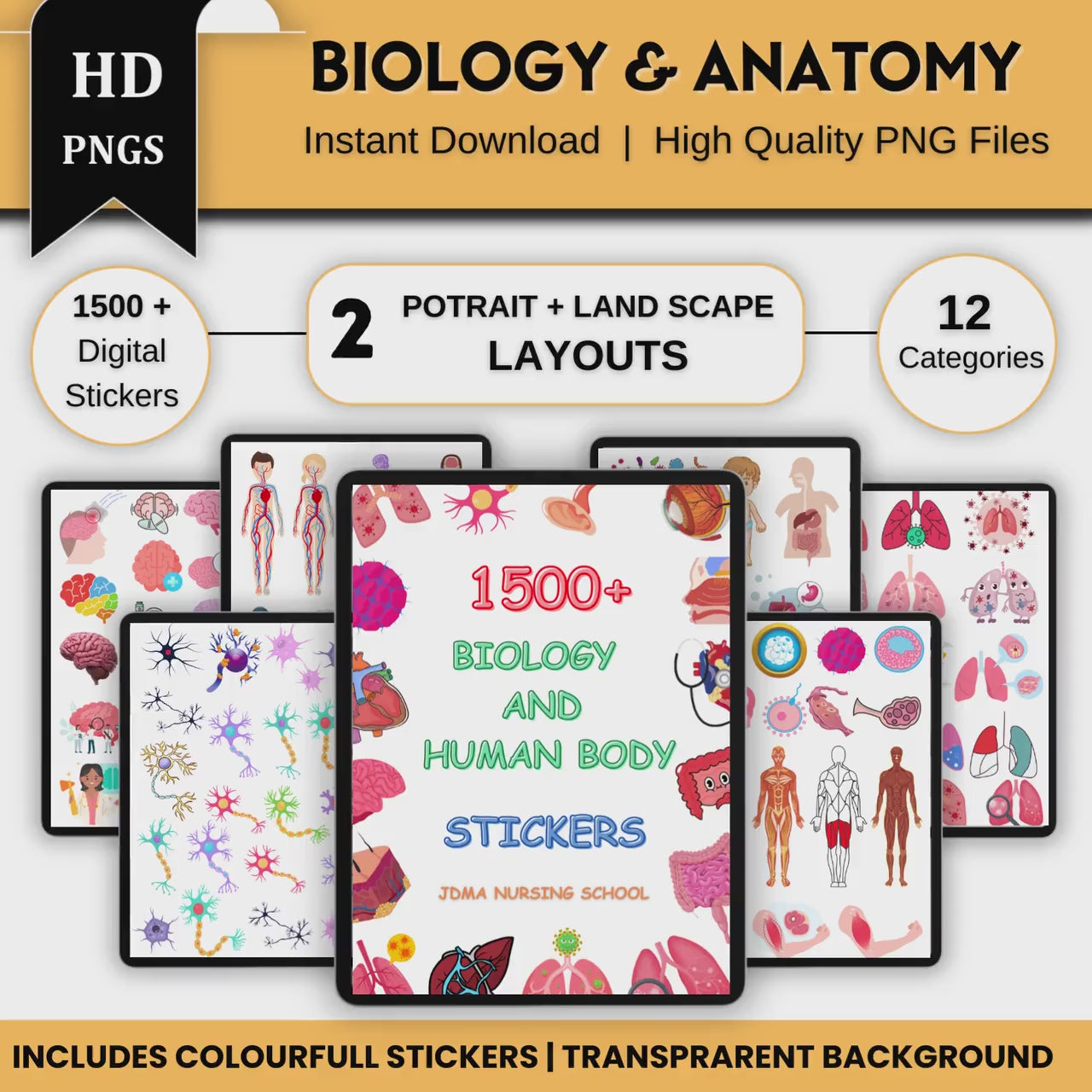 Human Biology Digital Stickers 1100+ | Biology Sticker | Colourful stickers | Nurse Stickers | PNG Files | Digital Download