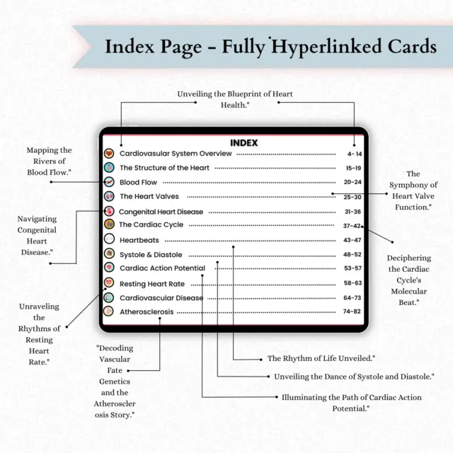 Detailed cardiovascular system flashcards