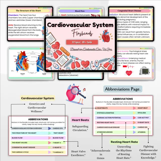 Cardiovascular system flashcards with key terms