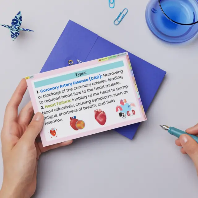 Affordable cardiovascular system flashcards