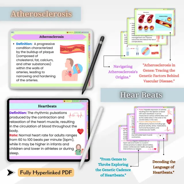 Cardiovascular system flashcards for medical students