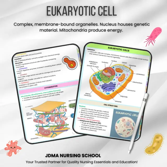 Complete microbiology study guide bundle for students