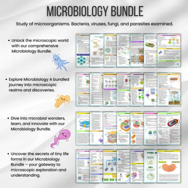 Microbiology study guide bundle with diagrams and illustrations