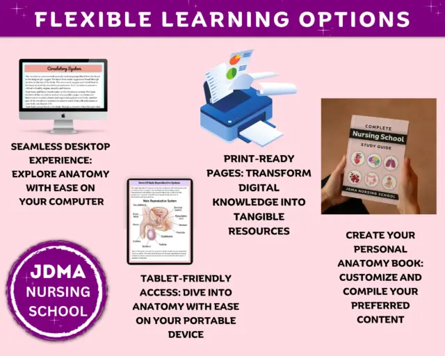 Nursing school bundle with digital and printable resources