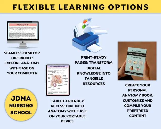 Common medications study bundle with flashcards