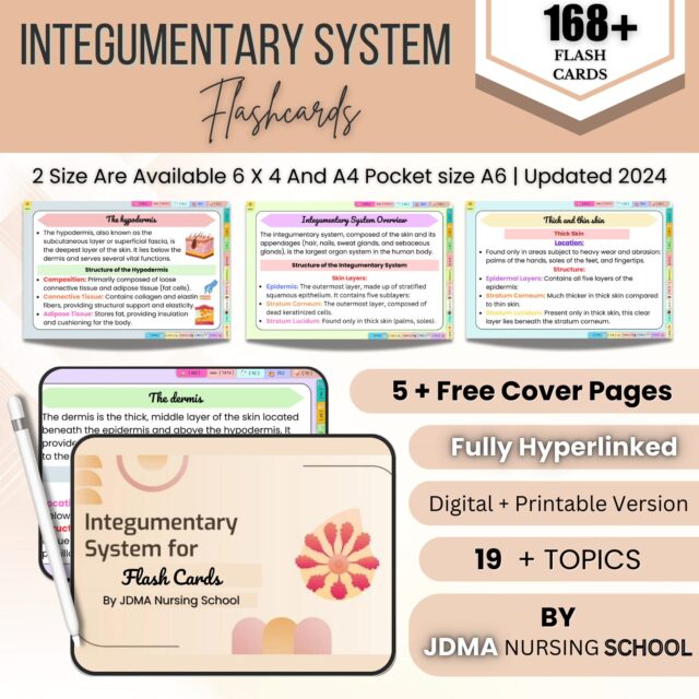 Integumentary System Flashcards Hyperlinked | Human Body Flashcard | Medical Exam Prep | Integumentary System Study Aid | Instant Download