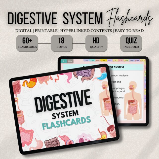 Digestive System Flashcards Bundle or Quiz with Hyperlinked | Human Body Flashcards | Nursing Study Guide | Instant Download | Note Taking