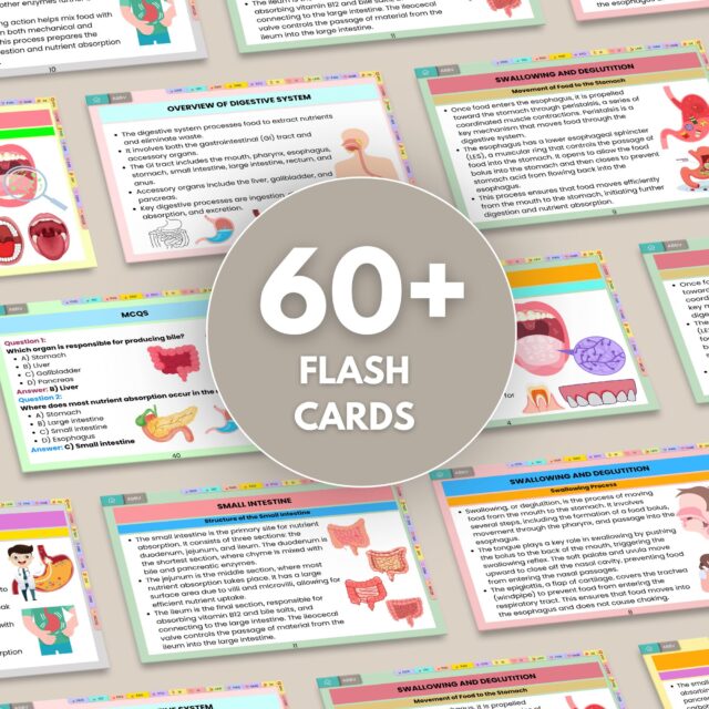 Digestive System Flashcards Bundle or Quiz with Hyperlinked | Human Body Flashcards | Nursing Study Guide | Instant Download | Note Taking - Image 10