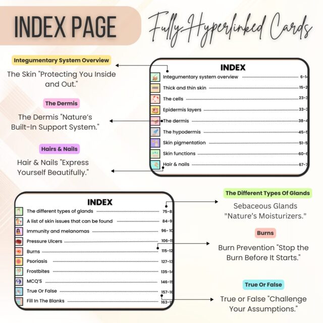 Integumentary System Flashcards Hyperlinked | Human Body Flashcard | Medical Exam Prep | Integumentary System Study Aid | Instant Download - Image 3