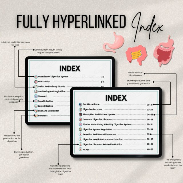 Digestive System Flashcards Bundle or Quiz with Hyperlinked | Human Body Flashcards | Nursing Study Guide | Instant Download | Note Taking - Image 3