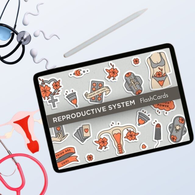 Reproductive System Flashcards Fully Hyperlinked | Human Anatomy | Free Cover Pages | Female Reproductive | Instant Download | Nursing Notes - Image 3