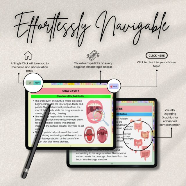 Digestive System Flashcards Bundle or Quiz with Hyperlinked | Human Body Flashcards | Nursing Study Guide | Instant Download | Note Taking - Image 4